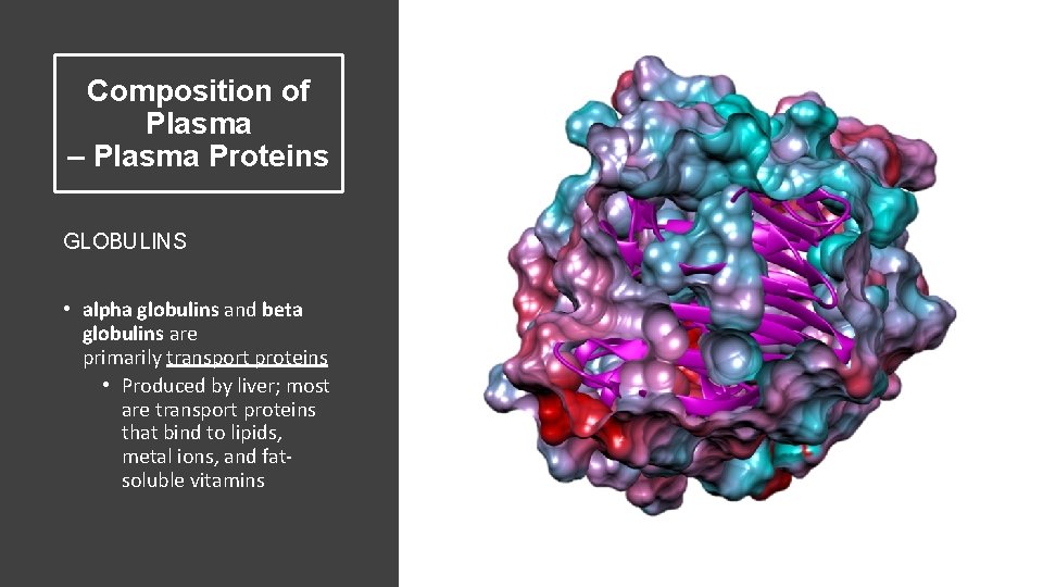 Composition of Plasma – Plasma Proteins GLOBULINS • alpha globulins and beta globulins are
