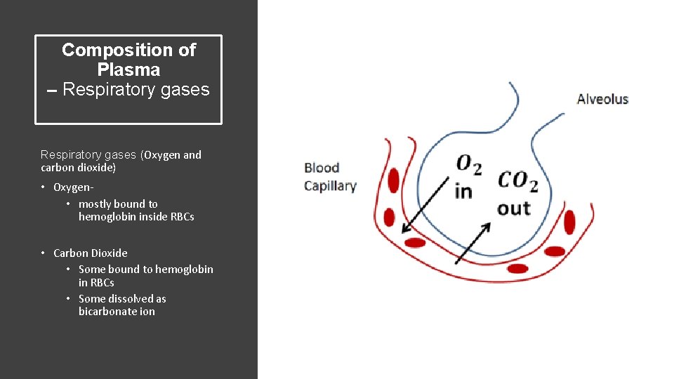 Composition of Plasma – Respiratory gases (Oxygen and carbon dioxide) • Oxygen • mostly