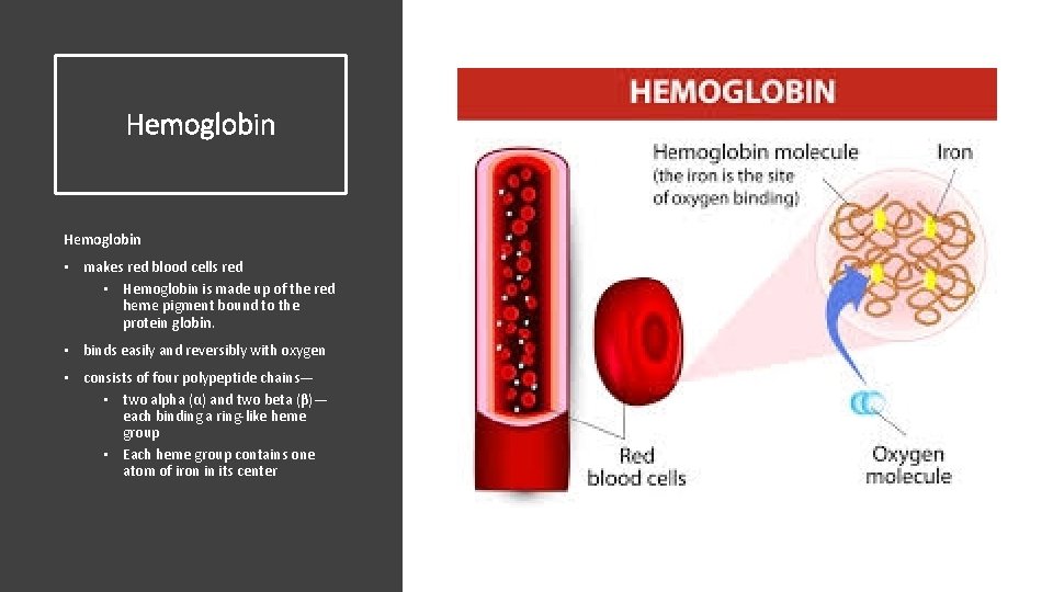 Hemoglobin • makes red blood cells red • Hemoglobin is made up of the