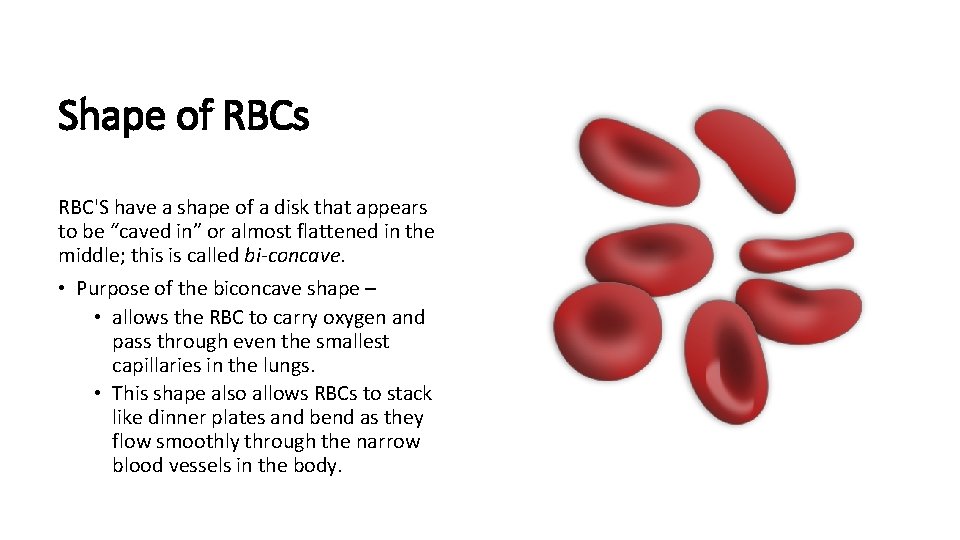 Shape of RBCs RBC'S have a shape of a disk that appears to be