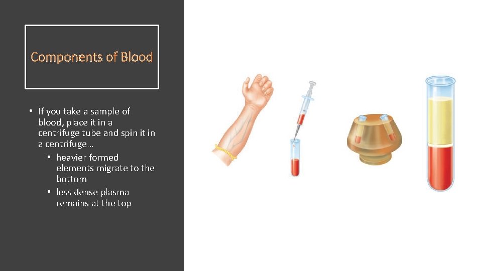 Components of Blood • If you take a sample of blood, place it in