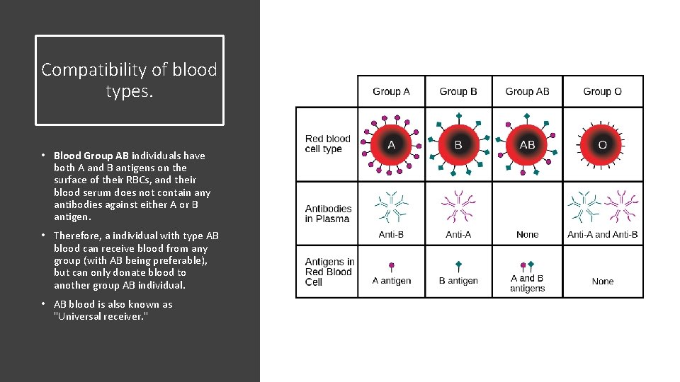 Compatibility of blood types. • Blood Group AB individuals have both A and B