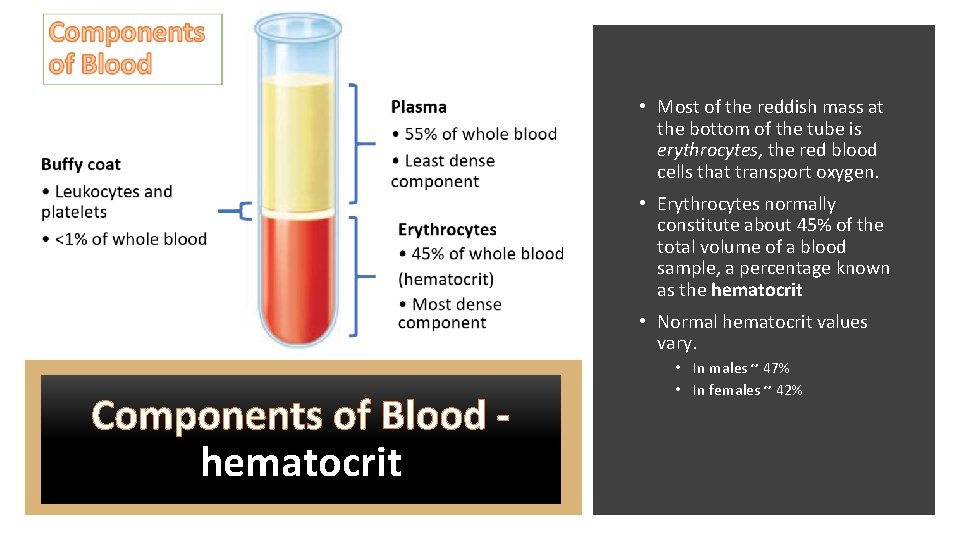  • Most of the reddish mass at the bottom of the tube is