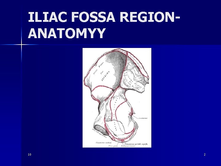 ILIAC FOSSA REGIONANATOMYY 10 2 