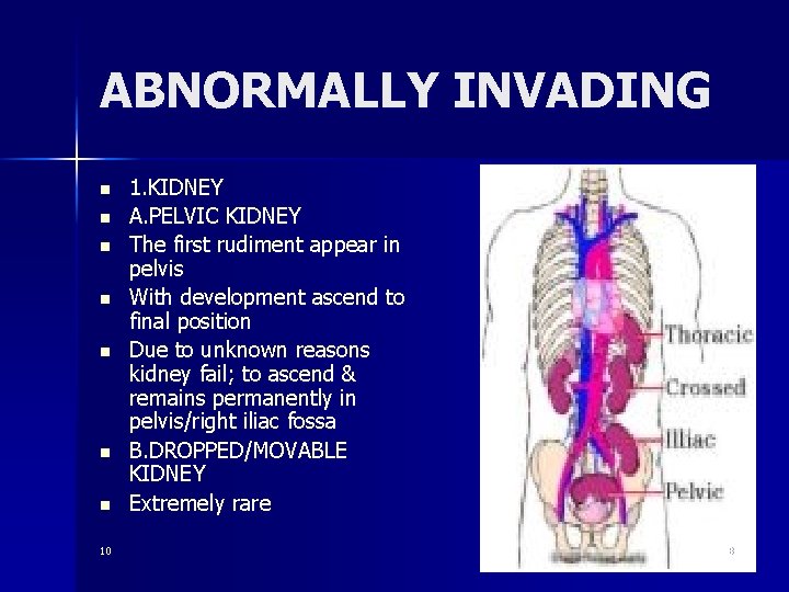 ABNORMALLY INVADING n n n n 10 1. KIDNEY A. PELVIC KIDNEY The first