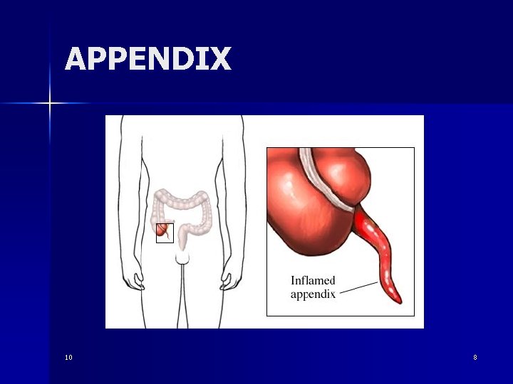 APPENDIX 10 8 