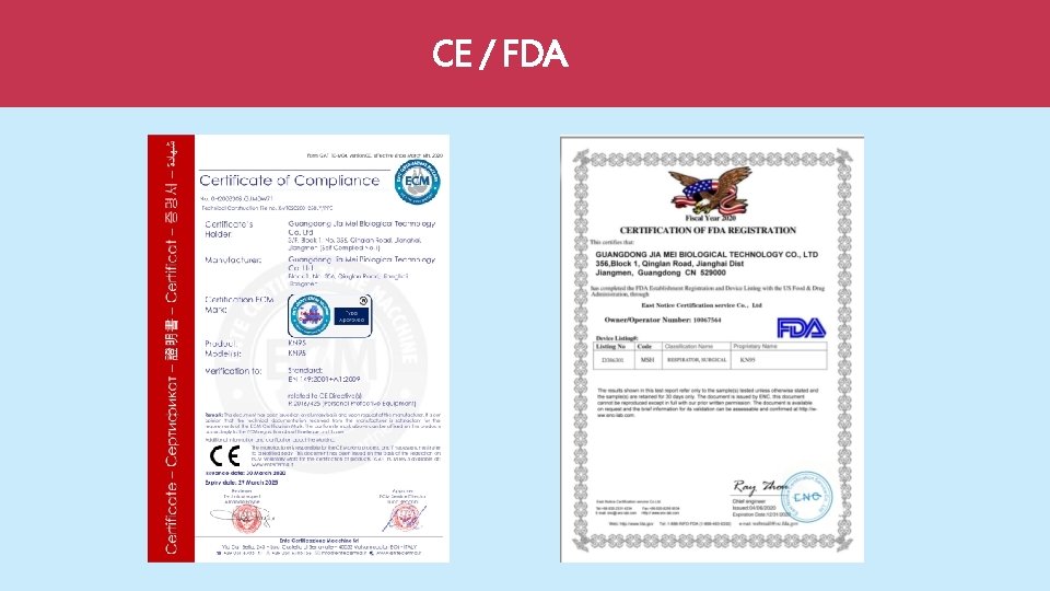 CE / FDA 