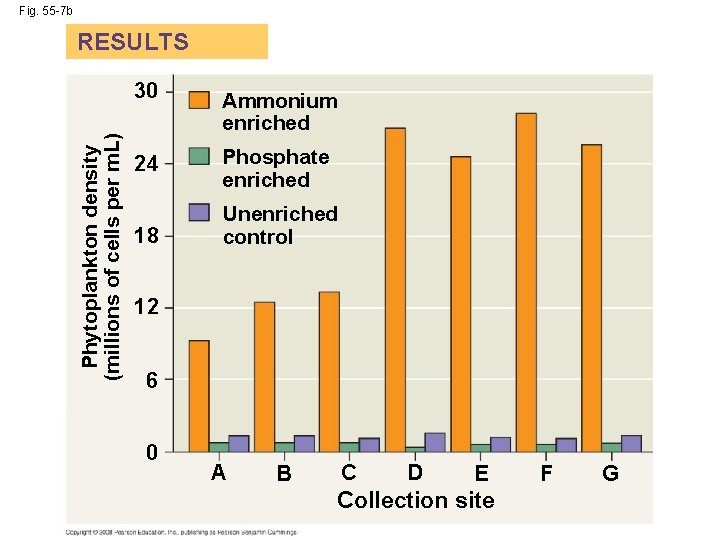 Fig. 55 -7 b Phytoplankton density (millions of cells per m. L) RESULTS 30