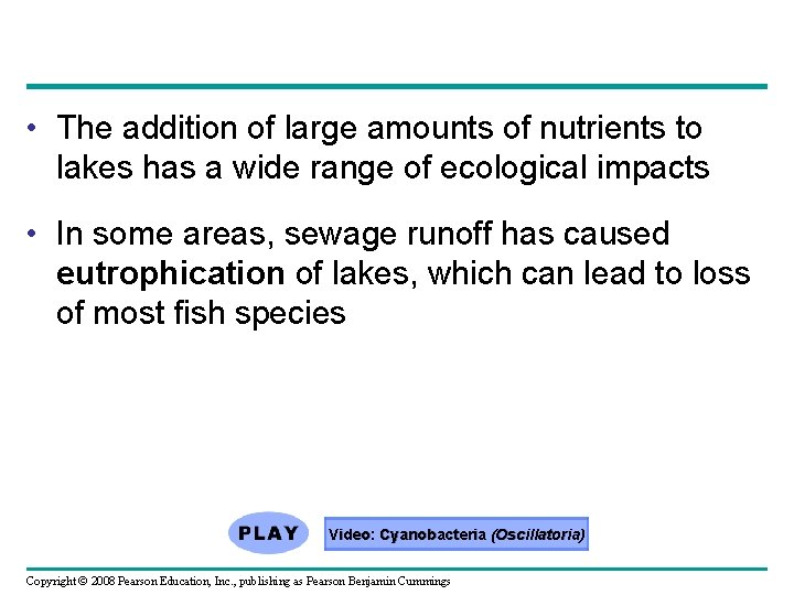  • The addition of large amounts of nutrients to lakes has a wide