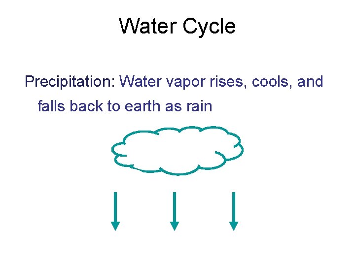 Water Cycle Precipitation: Water vapor rises, cools, and falls back to earth as rain