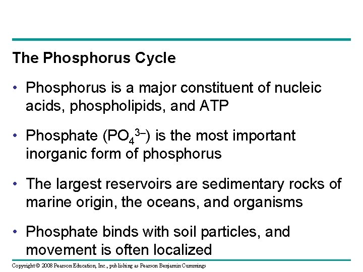 The Phosphorus Cycle • Phosphorus is a major constituent of nucleic acids, phospholipids, and