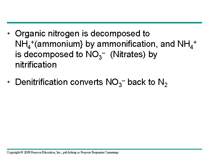  • Organic nitrogen is decomposed to NH 4+(ammonium} by ammonification, and NH 4+