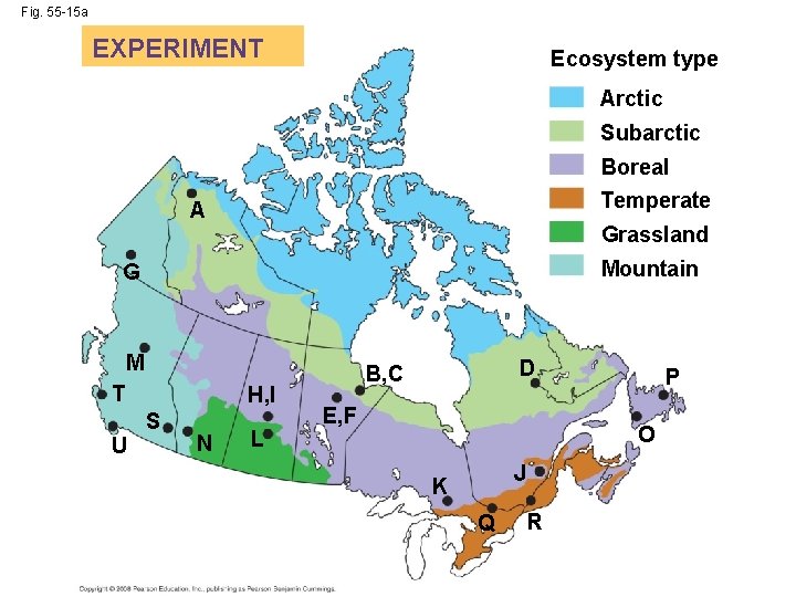 Fig. 55 -15 a EXPERIMENT Ecosystem type Arctic Subarctic Boreal Temperate A Grassland Mountain