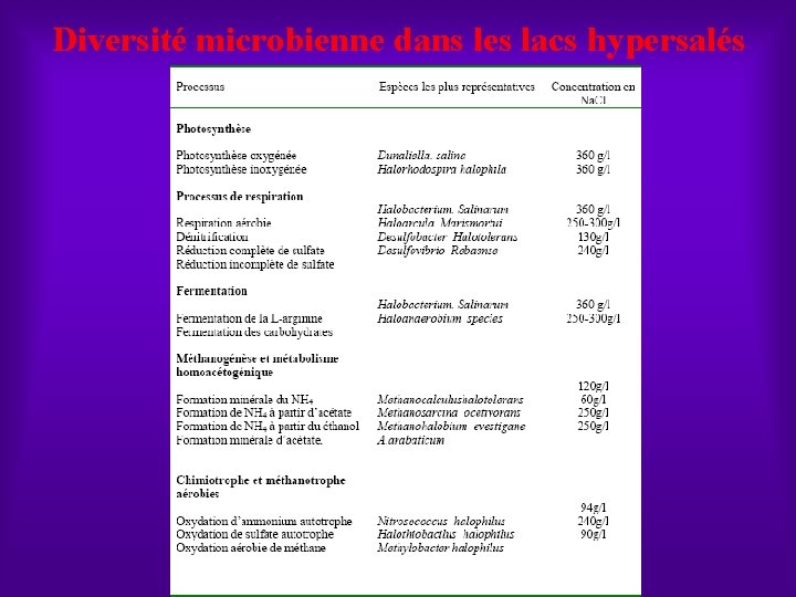 Diversité microbienne dans les lacs hypersalés 