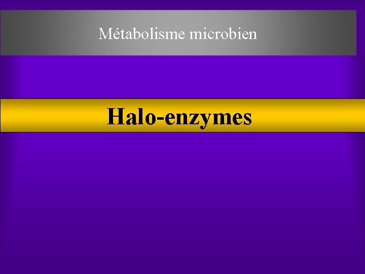 Métabolisme microbien Halo enzymes 