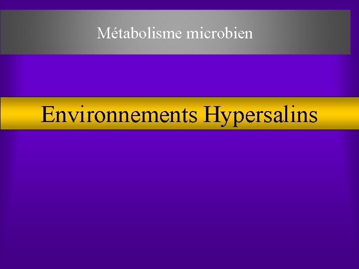 Métabolisme microbien Environnements Hypersalins 