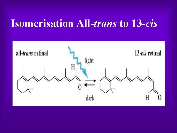 Isomerisation All trans to 13 cis 