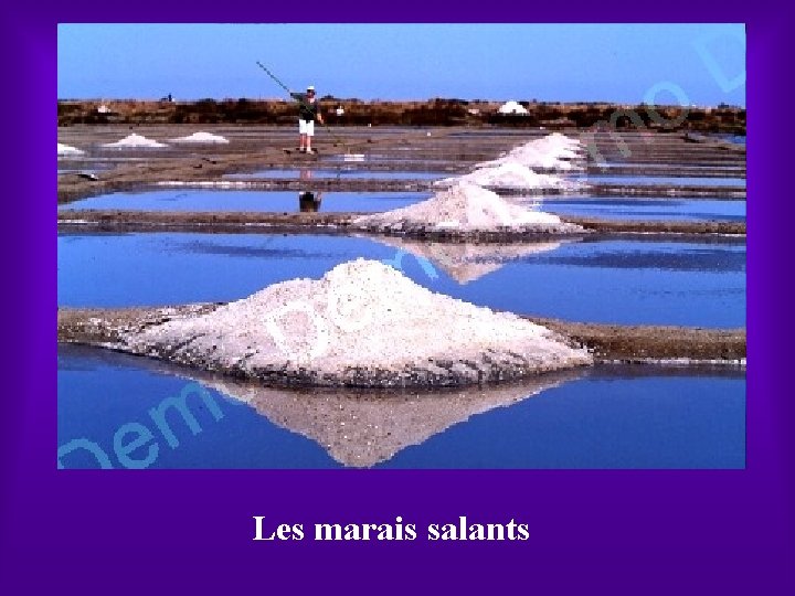 Les marais salants 