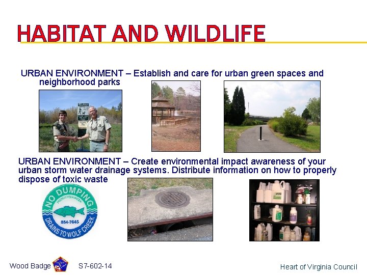 HABITAT AND WILDLIFE URBAN ENVIRONMENT – Establish and care for urban green spaces and