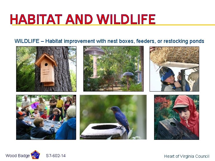 HABITAT AND WILDLIFE – Habitat improvement with nest boxes, feeders, or restocking ponds Wood