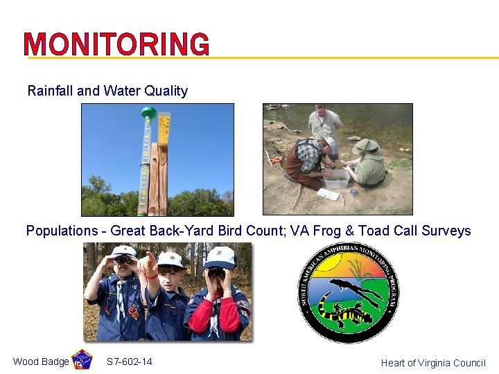 MONITORING Rainfall and Water Quality Populations - Great Back-Yard Bird Count; VA Frog &
