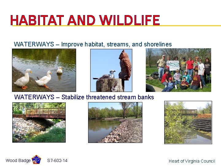 HABITAT AND WILDLIFE WATERWAYS – Improve habitat, streams, and shorelines WATERWAYS – Stabilize threatened