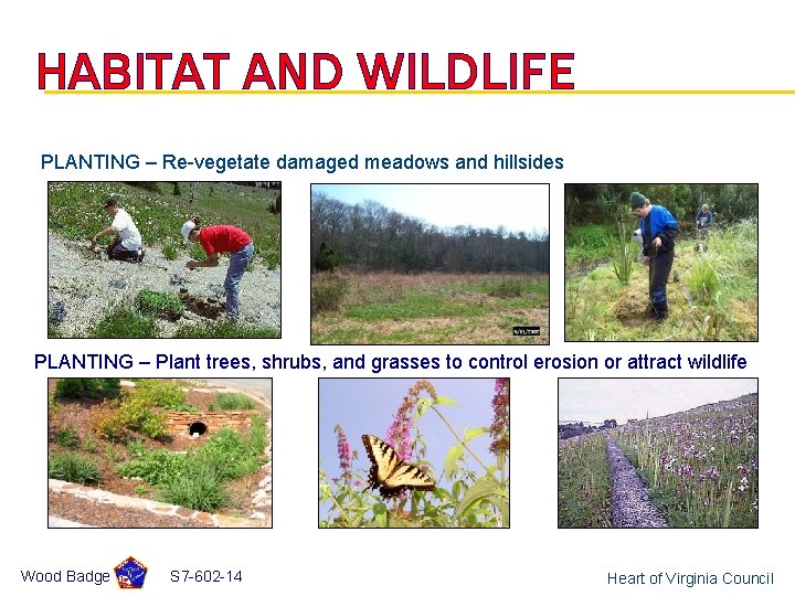 HABITAT AND WILDLIFE PLANTING – Re-vegetate damaged meadows and hillsides PLANTING – Plant trees,