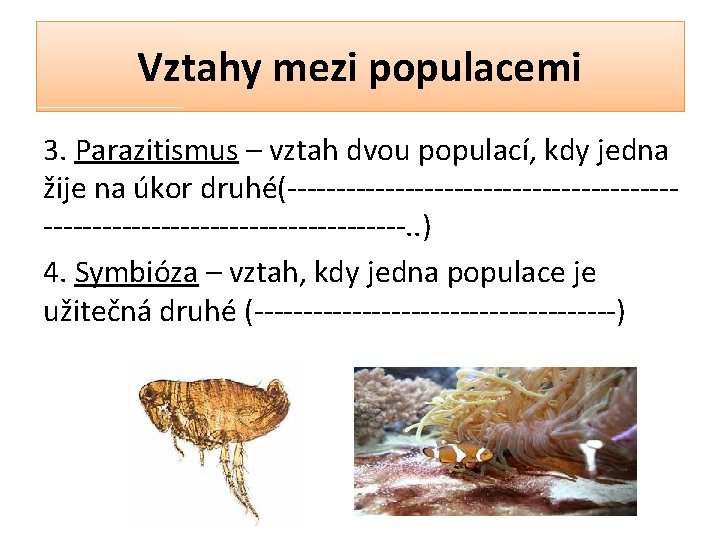 Vztahy mezi populacemi 3. Parazitismus – vztah dvou populací, kdy jedna žije na úkor