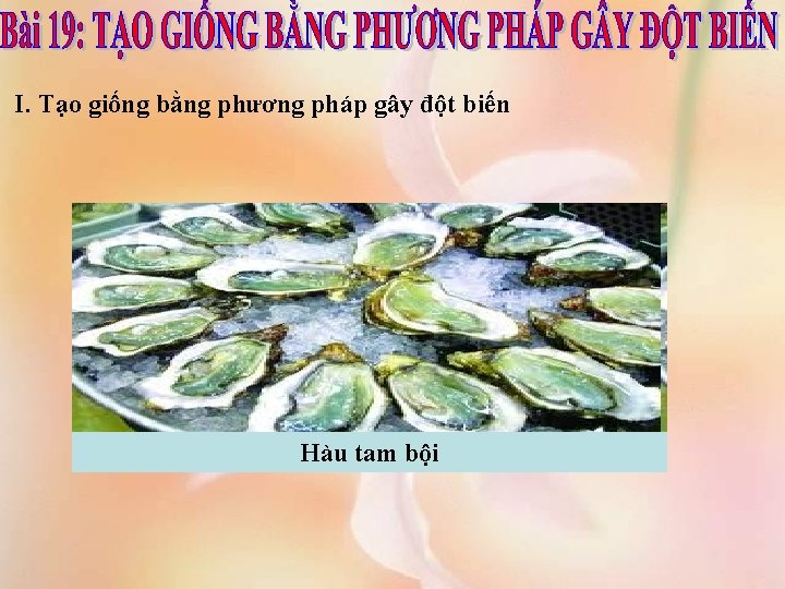 I. Tạo giống bằng phương pháp gây đột biến Hàu tam bội 