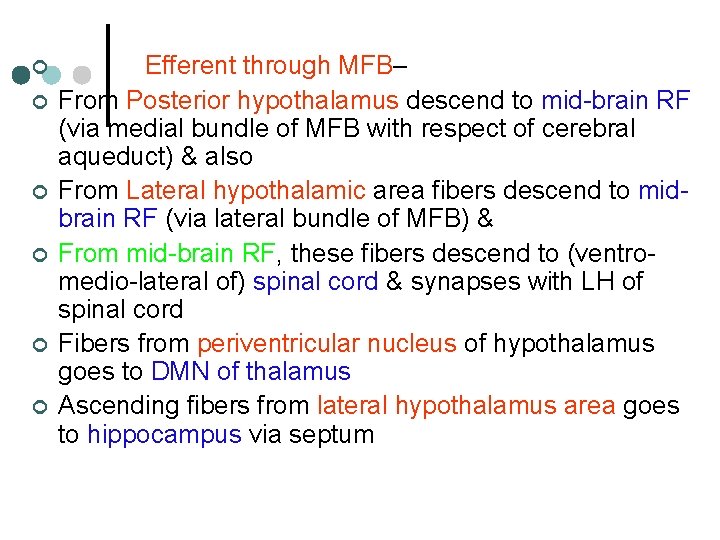 ¢ ¢ ¢ Efferent through MFB– From Posterior hypothalamus descend to mid-brain RF (via