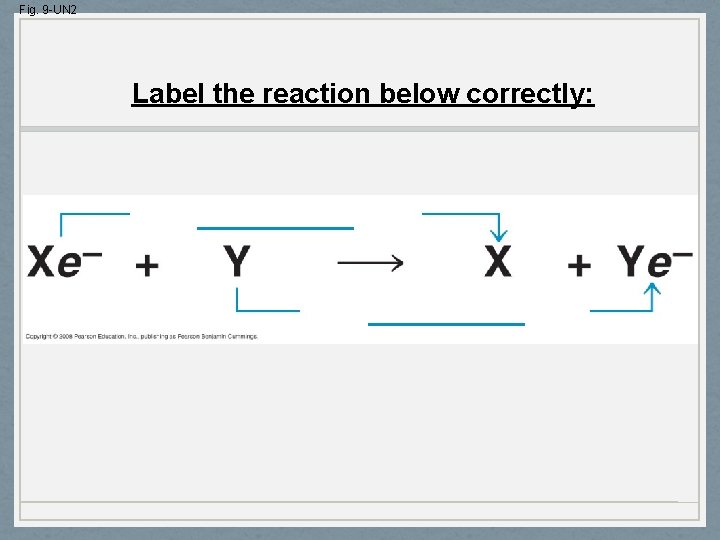 Fig. 9 -UN 2 Label the reaction below correctly: __________ 