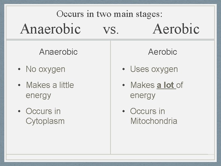 Occurs in two main stages: Anaerobic vs. Aerobic • No oxygen • Uses oxygen