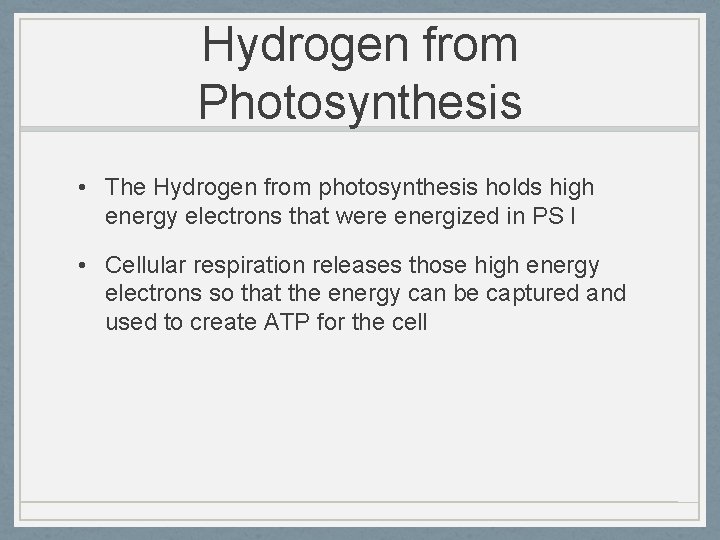 Hydrogen from Photosynthesis • The Hydrogen from photosynthesis holds high energy electrons that were