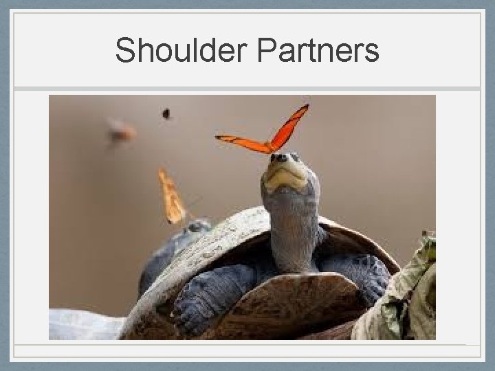 Shoulder Partners 