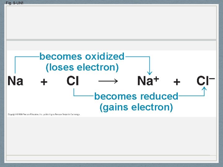Fig. 9 -UN 1 becomes oxidized (loses electron) becomes reduced (gains electron) 