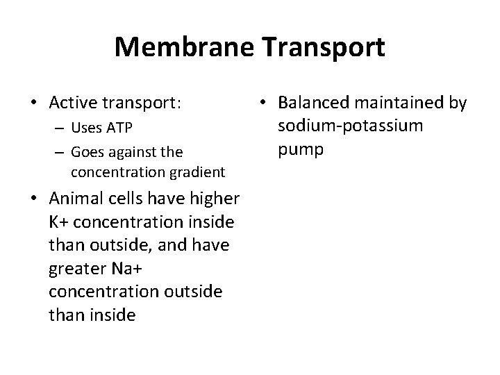 Membrane Transport • Active transport: – Uses ATP – Goes against the concentration gradient