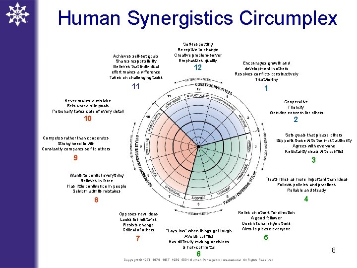 Human Synergistics Circumplex Achieves self-set goals Shares responsibility Believes that individual effort makes a