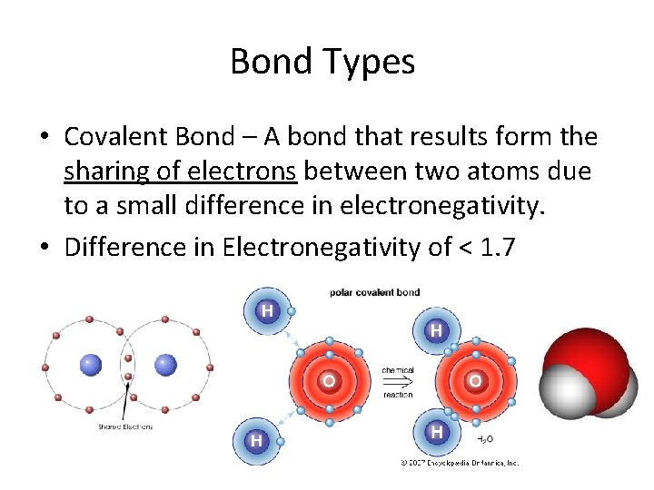 Bond Types • Covalent Bond – A bond that results form the sharing of