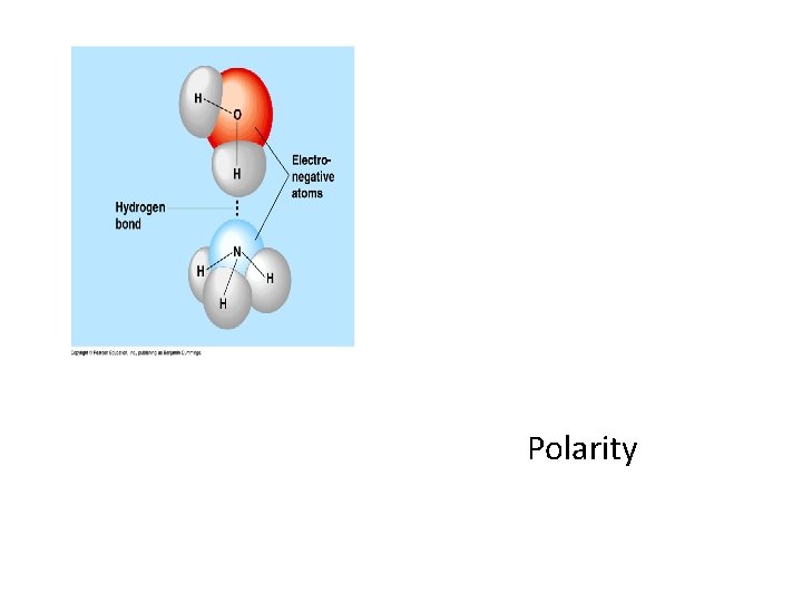 Polarity 