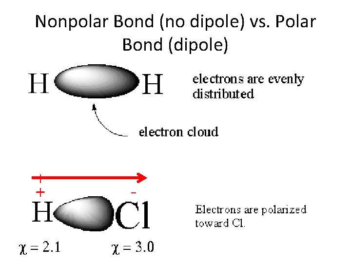 Nonpolar Bond (no dipole) vs. Polar Bond (dipole) + + - 
