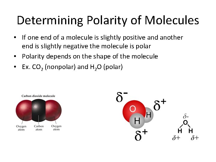 Determining Polarity of Molecules • If one end of a molecule is slightly positive