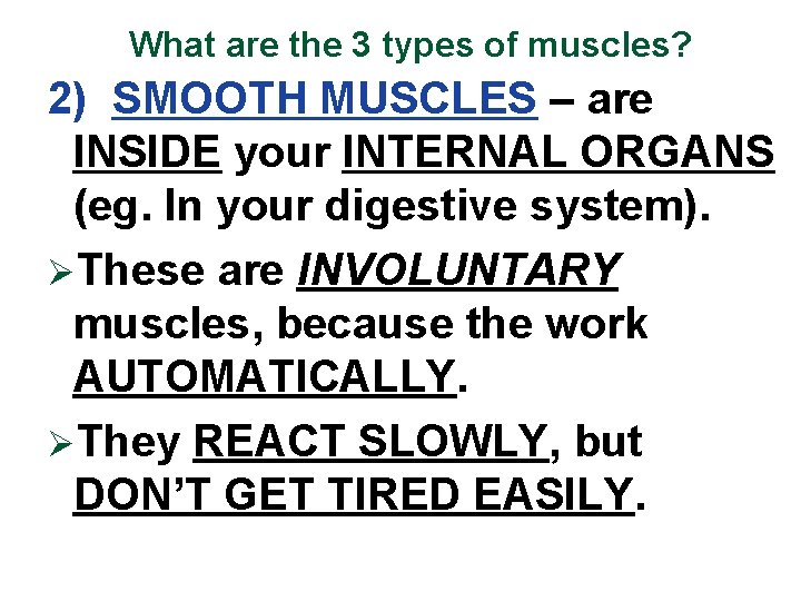 What are the 3 types of muscles? 2) SMOOTH MUSCLES – are INSIDE your