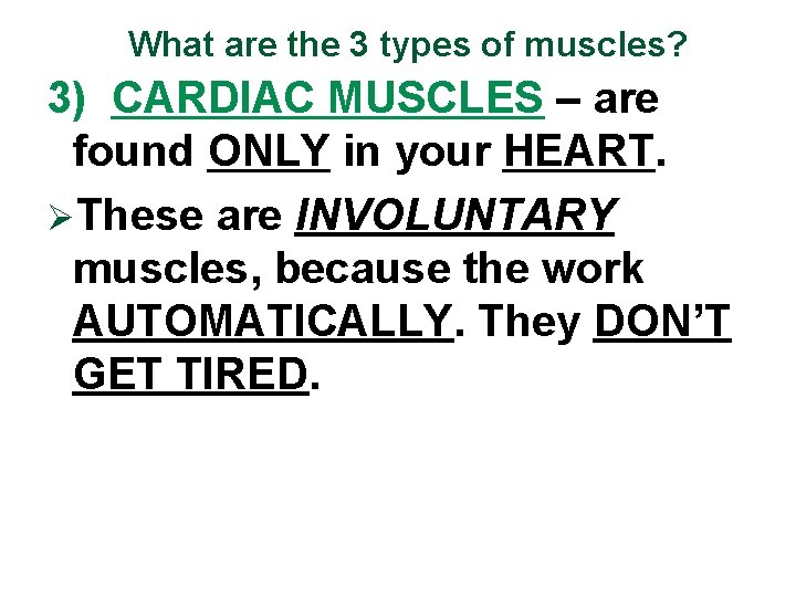 What are the 3 types of muscles? 3) CARDIAC MUSCLES – are found ONLY
