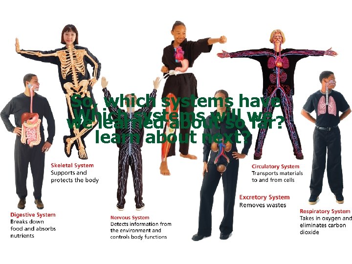 So, which systems have Which systems will we learned about so we far? learn