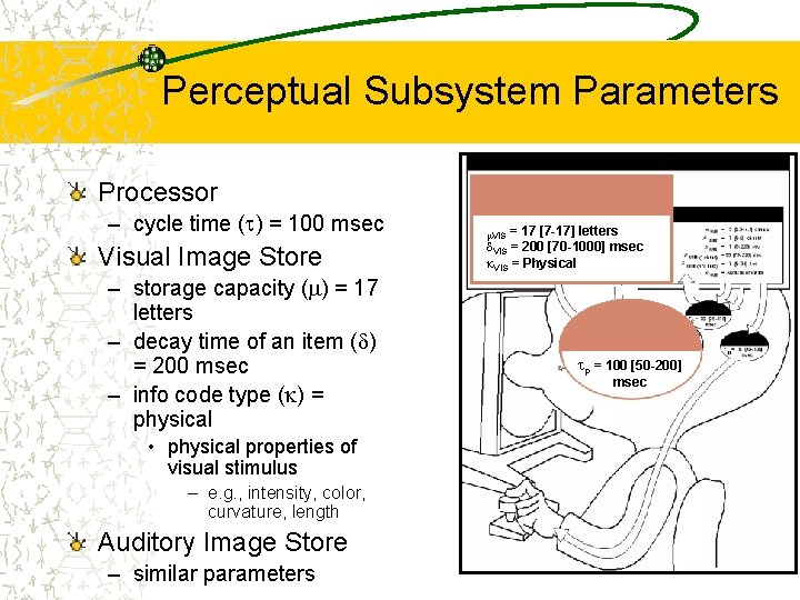 Perceptual Subsystem Parameters Processor – cycle time ( ) = 100 msec Visual Image