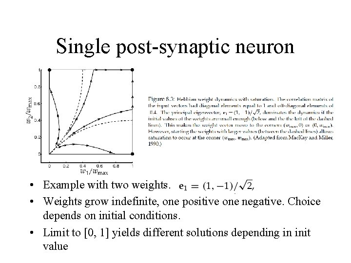 Single post-synaptic neuron • Example with two weights. • Weights grow indefinite, one positive