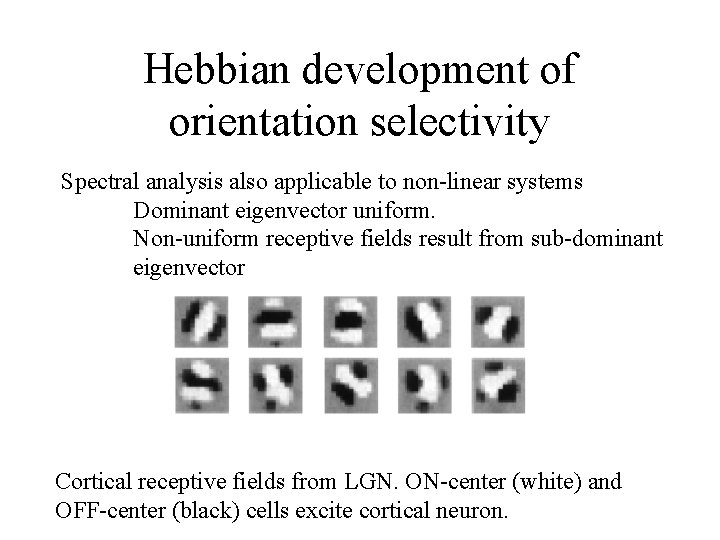 Hebbian development of orientation selectivity Spectral analysis also applicable to non-linear systems Dominant eigenvector