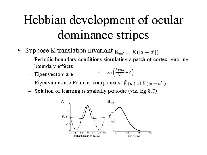 Hebbian development of ocular dominance stripes • Suppose K translation invariant – Periodic boundary