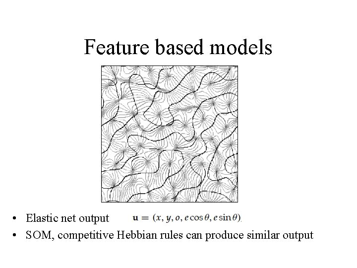 Feature based models • Elastic net output • SOM, competitive Hebbian rules can produce