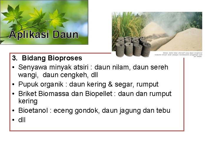 Aplikasi Daun 3. Bidang Bioproses • Senyawa minyak atsiri : daun nilam, daun sereh